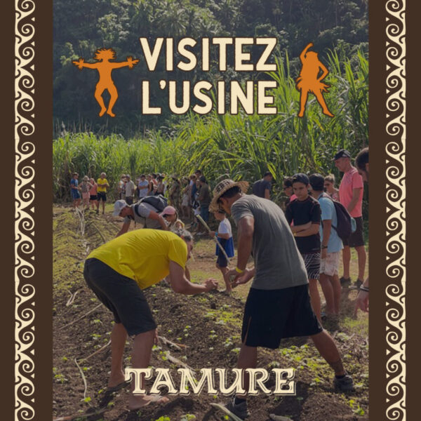 Visite guidée de l’usine de rhum